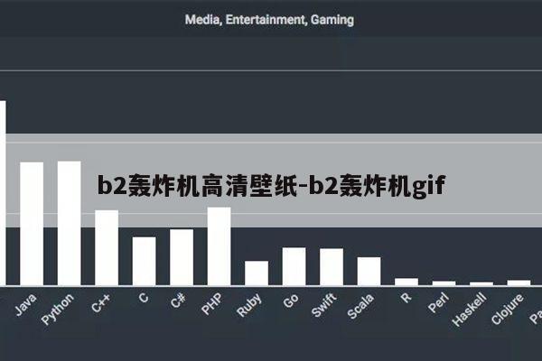 b2轰炸机高清壁纸-b2轰炸机gif第1张-网络科技学堂