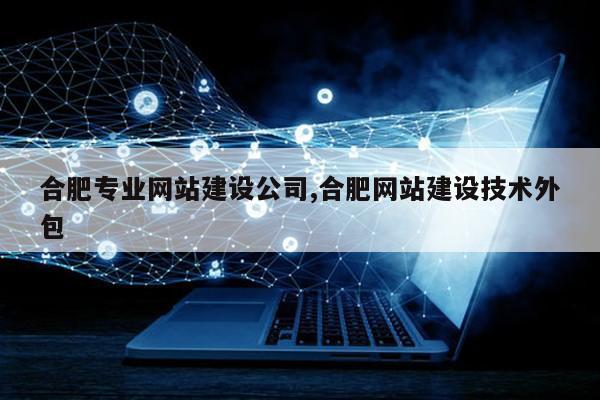 合肥专业网站建设公司,合肥网站建设技术外包第1张-网络科技学堂