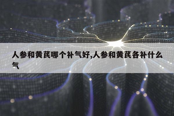 人参和黄芪哪个补气好,人参和黄芪各补什么气第1张-网络科技学堂