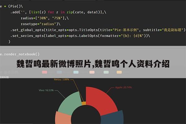 魏哲鸣最新微博照片,魏哲鸣个人资料介绍第1张-网络科技学堂