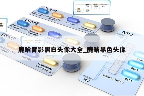 鹿晗背影黑白头像大全_鹿晗黑色头像第1张-网络科技学堂