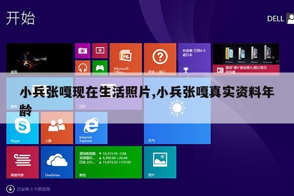 小兵张嘎现在生活照片,小兵张嘎真实资料年龄第1张-网络科技学堂