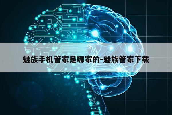 魅族手机管家是哪家的-魅族管家下载第1张-网络科技学堂