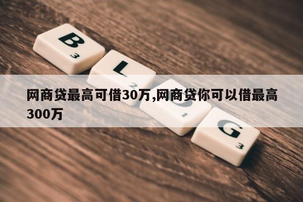 网商贷最高可借30万,网商贷你可以借最高300万第1张-网络科技学堂