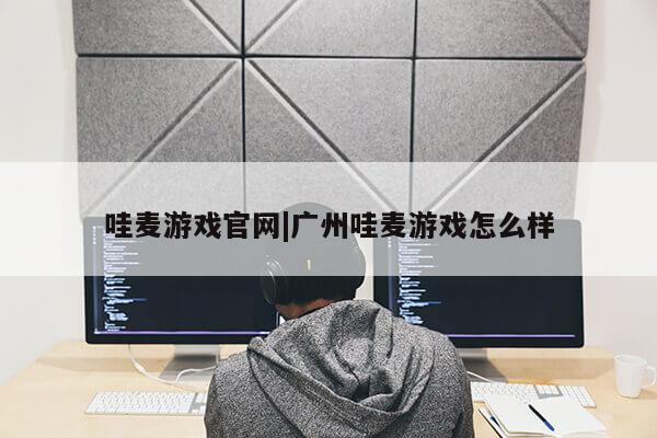 哇麦游戏官网|广州哇麦游戏怎么样第1张-网络科技学堂