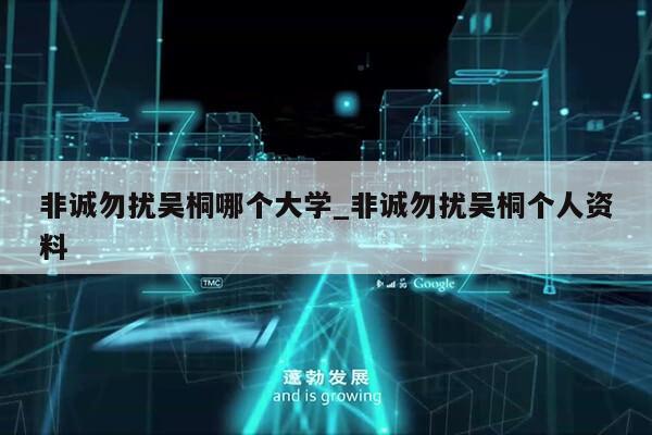 非诚勿扰吴桐哪个大学_非诚勿扰吴桐个人资料第1张-网络科技学堂