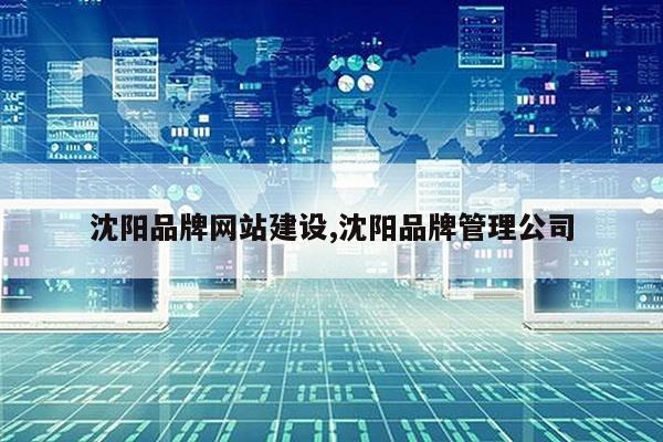 沈阳品牌网站建设,沈阳品牌管理公司第1张-网络科技学堂