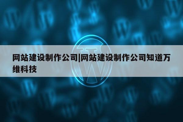 网站建设制作公司|网站建设制作公司知道万维科技第1张-网络科技学堂