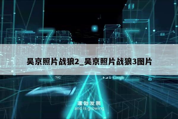 吴京照片战狼2_吴京照片战狼3图片第1张-网络科技学堂