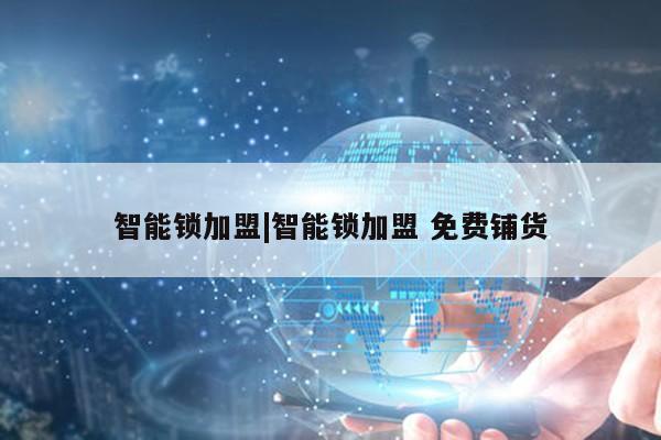 智能锁加盟|智能锁加盟 免费铺货第1张-网络科技学堂