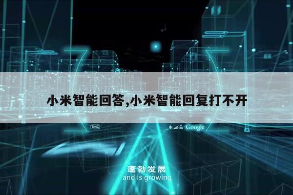 小米智能回答,小米智能回复打不开第1张-网络科技学堂