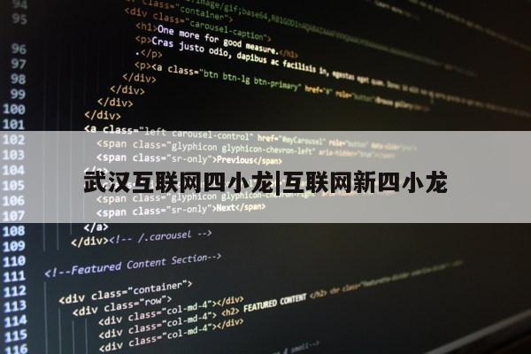 武汉互联网四小龙|互联网新四小龙第1张-网络科技学堂