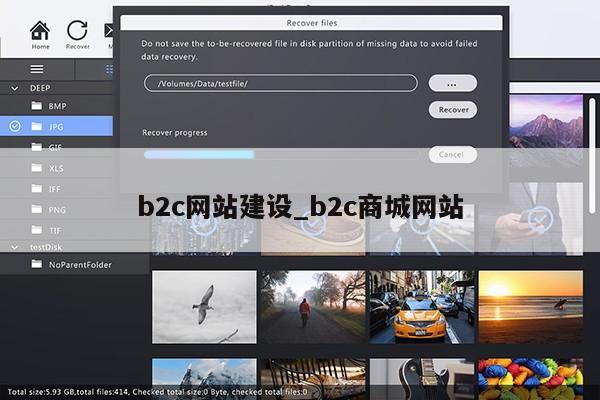 b2c网站建设_b2c商城网站第1张-网络科技学堂