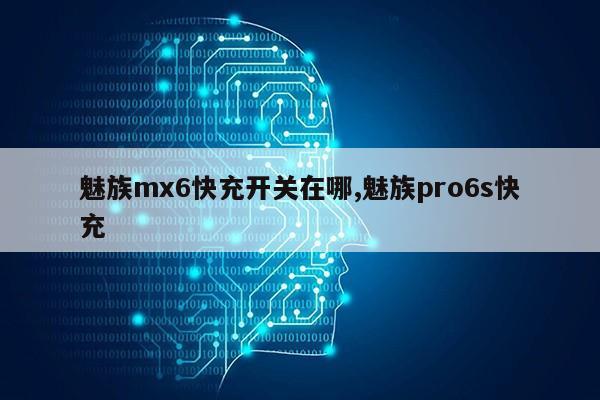 魅族mx6快充开关在哪,魅族pro6s快充第1张-网络科技学堂