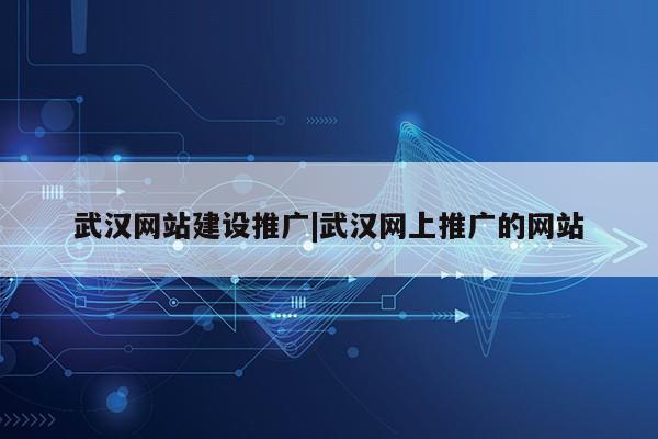 武汉网站建设推广|武汉网上推广的网站第1张-网络科技学堂