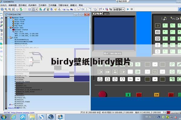 birdy壁纸|birdy图片第1张-网络科技学堂