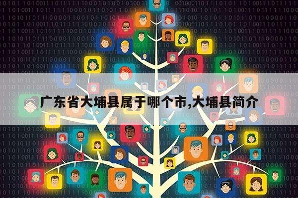 广东省大埔县属于哪个市,大埔县简介第1张-网络科技学堂