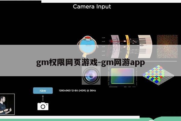 gm权限网页游戏-gm网游app第1张-网络科技学堂